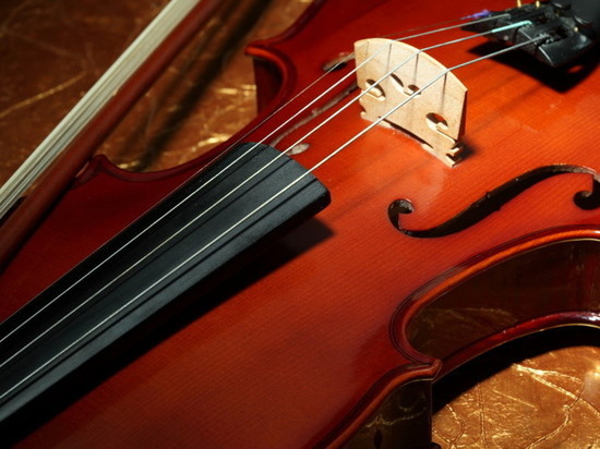 В Белгороде откроют новые имена талантливых скрипачей