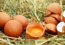 Казалось бы — яйца давно признали полезным продуктом