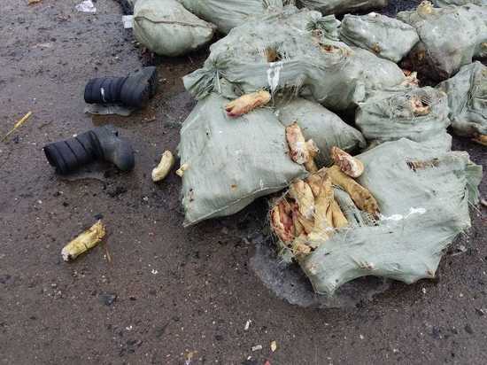 В Тверской области жители обнаружили мешки с отрубленными ногами