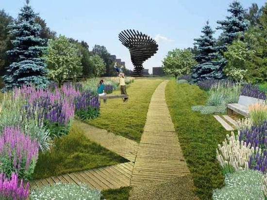 Здесь высадят лаванду, лилии и тимьян