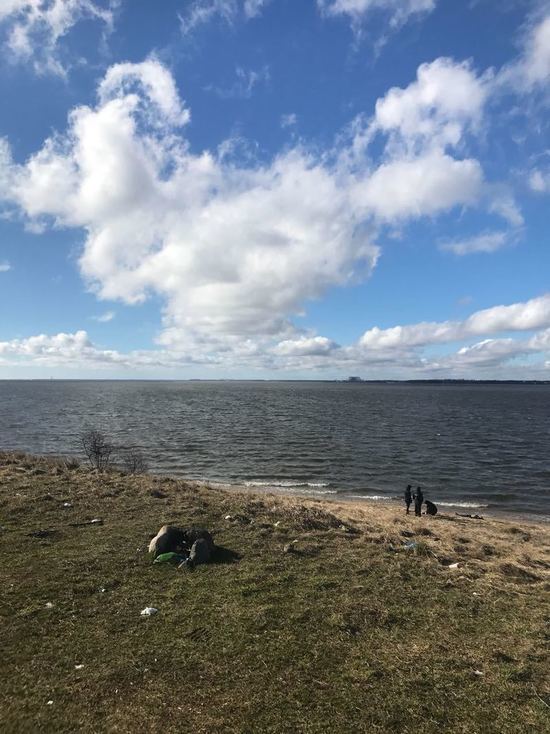 В Прибрежном на берегу Калининградского залива обнаружено тело неизвестной женщины