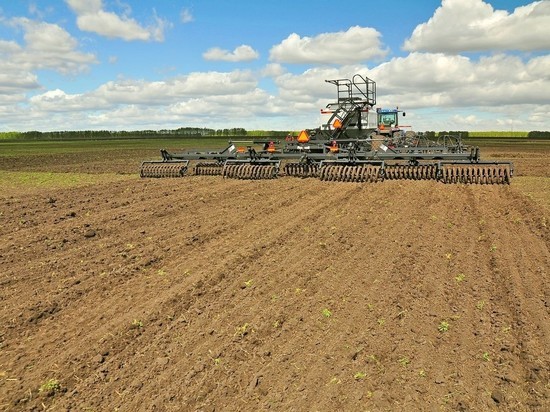 Посевные площади в Тверской области увеличатся на 5 тысяч гектаров