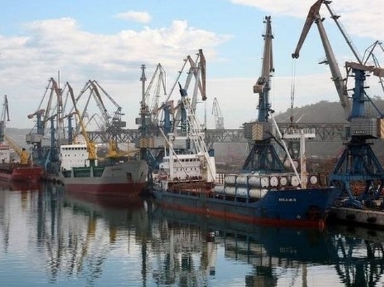 Компании из КНР вложат 25 млрд рублей в растениеводческий проект и речной порт в Хабаровском крае
