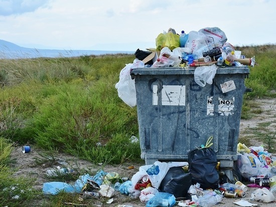 С 1 апреля в Псковской области снизят тариф на вывоз мусора