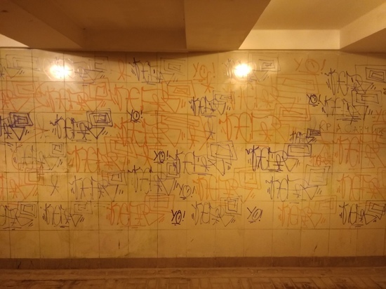 В Смоленске вандалы изуродовали подземный переход