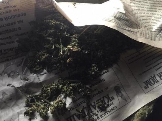 У жителя Саракташа изъяли килограмм марихуаны