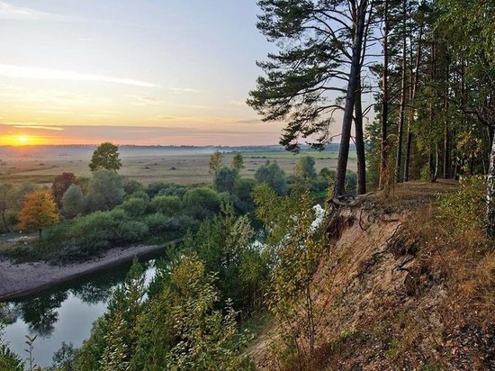 В нацпарке "Угра" по ошибке вырубили лес на 5 млн рублей