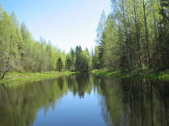 В Кировской области будут развивать экотуризм, создав крупный национальный парк
