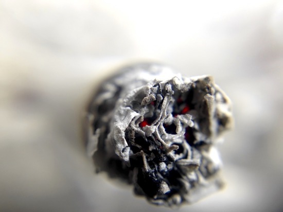 Жительница Кольчугинского района хотела перепродать «паленые» сигареты
