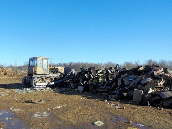 В Смоленской области уничтожили около 27 тонн подозрительных фруктов
