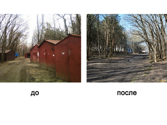 60 гаражей снесли в Ставрополе на «Таманской лесной даче»