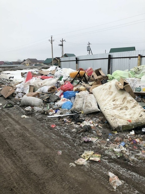 Пользователи соцсетей Оренбуржья призывают не платить за мусор