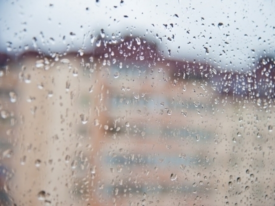 Погода в Волгограде: дождь, ветер, заморозки