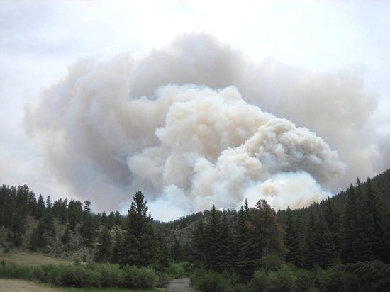 Вероятность перехода лесных пожаров на дома прогнозируется в Забайкалье