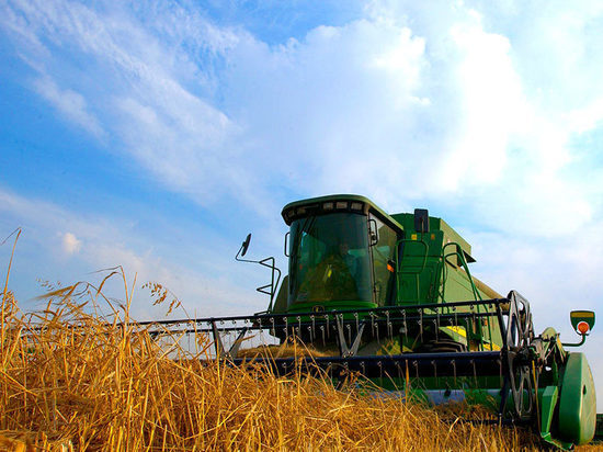 Росатом продает за 336 млн рублей одно из крупнейших сельхозпредприятий в крае