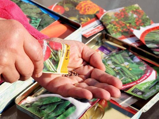 В Ивановской области оштрафовали продавцов семян