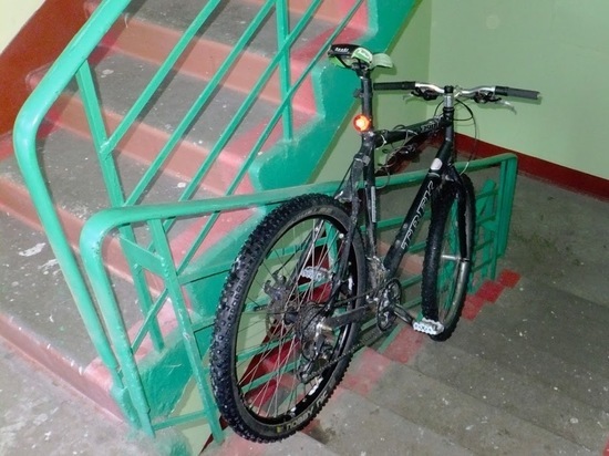 У жительницы Оренбургского района из подъезда украли велосипед