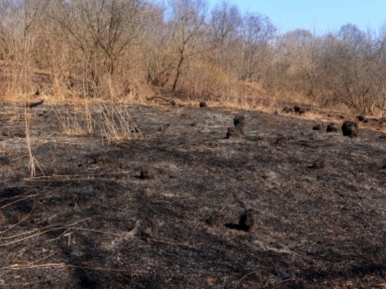 Смоленские пожарные 20 раз выезжали в воскресенье на тушение травы