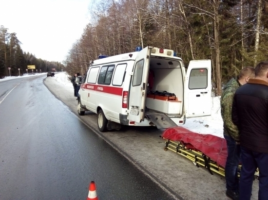 В Киржачском районе столкнулись легковушка и автобус