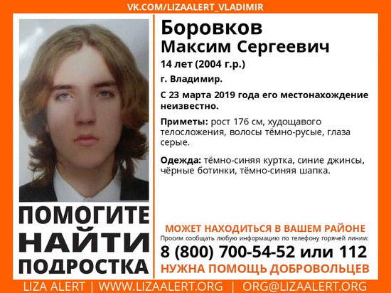 Во Владимирской области ищут пропавшего два дня назад подростка
