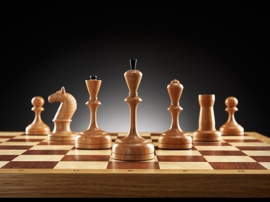 Педагогов Тульской области обучили методикам преподавания шахмат в школах