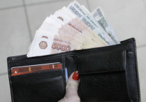 Доля таких заёмщиков стремительно растёт