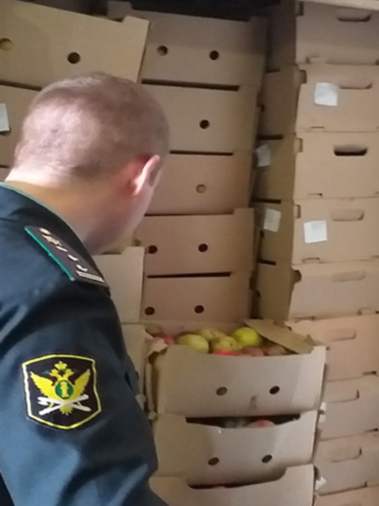 В Ульяновске конфисковали 7 тонн яблок неизвестного производителя