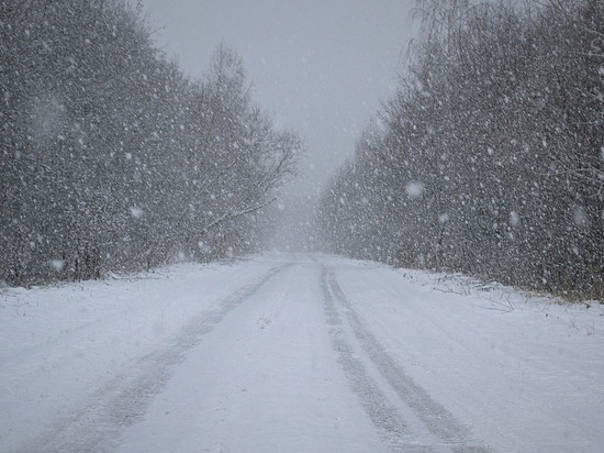 Зима в Ульяновске решила задержаться
