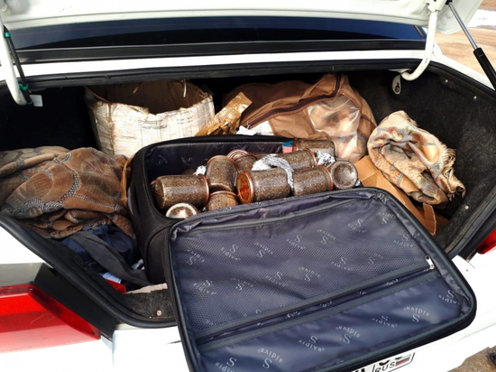 Астраханские сотрудники ДПС нашли в чемодане девушки 20 кг черной икры