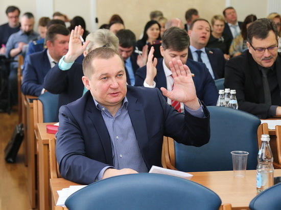 Воронежские депутаты скорректировали городской бюджет