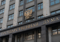 Центральная избирательная комиссия проголосовала за передачу депутатского мандата ушедшего из жизни Жореса Алферова члену законодательного собрания Красноярского края Петру Медведеву, хотя по решению КПРФ мандат должен был быть вручен подмосковному предпринимателю Павлу Грудинину