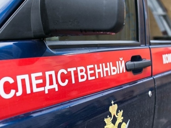 Жители Воронежской области расправились с недругом методами мафии