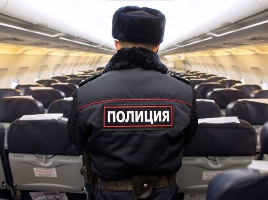 Адлерский суд вынес приговор авиадебоширу рейса Санкт-Петербург – Анталия