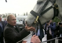 Владимир Путин успешно справился с ролью волшебника в голубом вертолете, которого так сильно ждали в Киргизии
