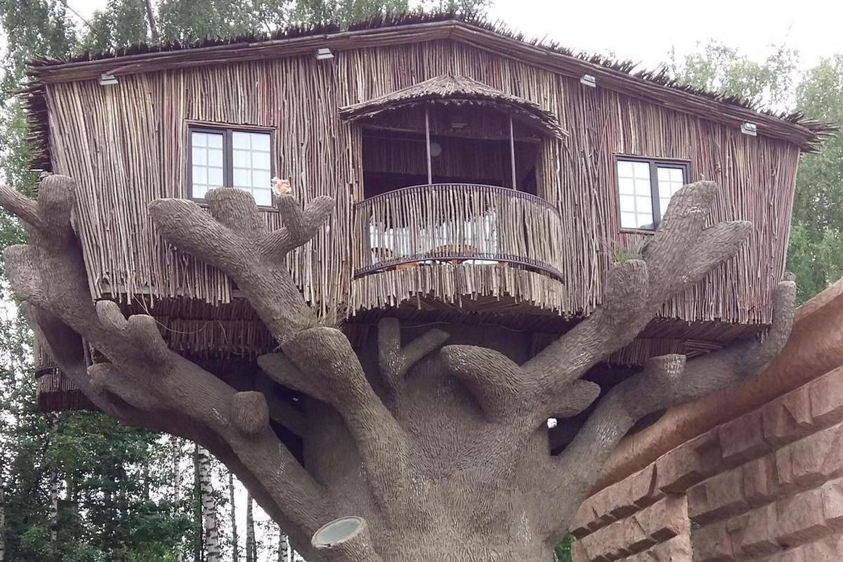В Москве снесли знаменитый отель на дереве - МК