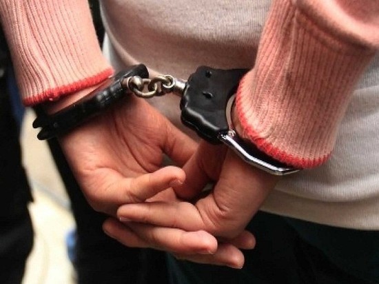 Полицейские задержали соучастницу в хищении 273 млн с чувашского завода