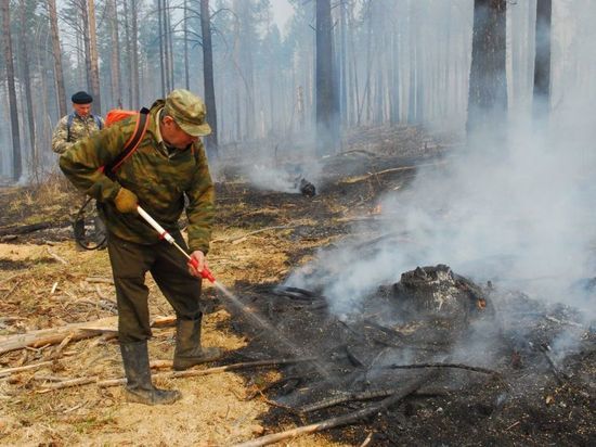 Пожарная опасность может превысить многолетние значения в Забайкалье
