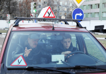 Вернуть Госавтоинспекции право закрывать автошколы намерено МВД России
