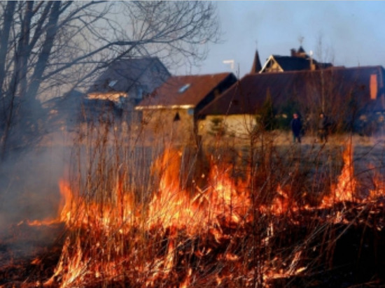 В Калининградской области пожарные 39 раз тушили горящую траву