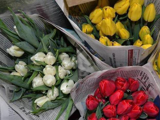 Мошенники «развели» новочебоксарского цветочника на 95 тысяч рублей