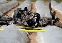 В крушении легкомоторного самолета рядом с немецким Дармштадтом погибла совладелица российской авиакомпании S7 Наталия Филева