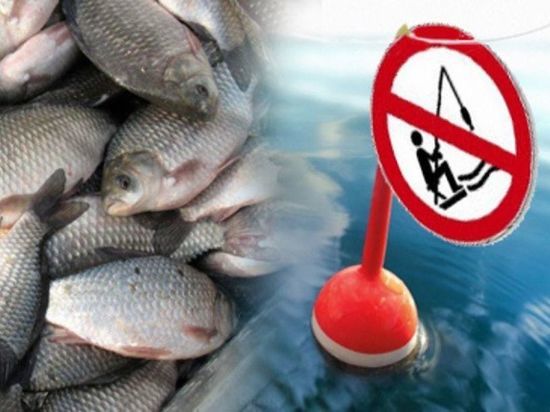 В Архангельской области будет запрещено ловить рыбу