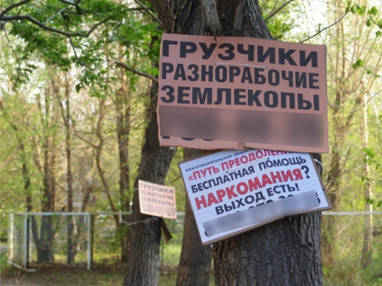 Чебоксарцев предупредили о крупных штрафах за рекламу на деревьях