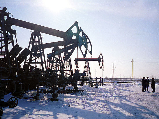 Покорение Арктики: «Роснефть» создает новый сверхкластер по добыче нефти