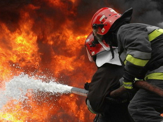 Воронежца осудили на полтора года за гибель родственников на пожаре