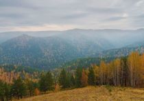 Это первый проект подобного масштаба по восстановлению лесов в нашей стране:  более 1 млн деревьев будет высажено в регионах России в рамках реализации климатической стратегии РУСАЛа