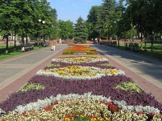 В Белгороде разобьют новые клумбы и цветники