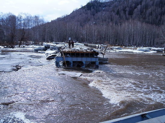 Алтайская река Чарыш достигнет критической отметки в ближайшие сутки