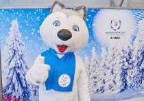 Клиника делала календари-визитки с U-Лайкой и надписью «29 Winter Universiade Krasnoyarsk 2019»