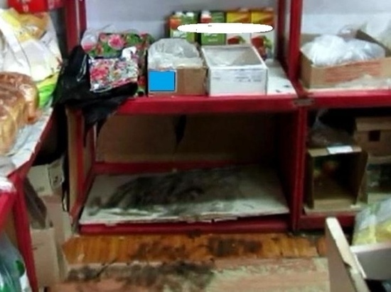 Алтайский селянин обворовывал магазин через потайную дверь